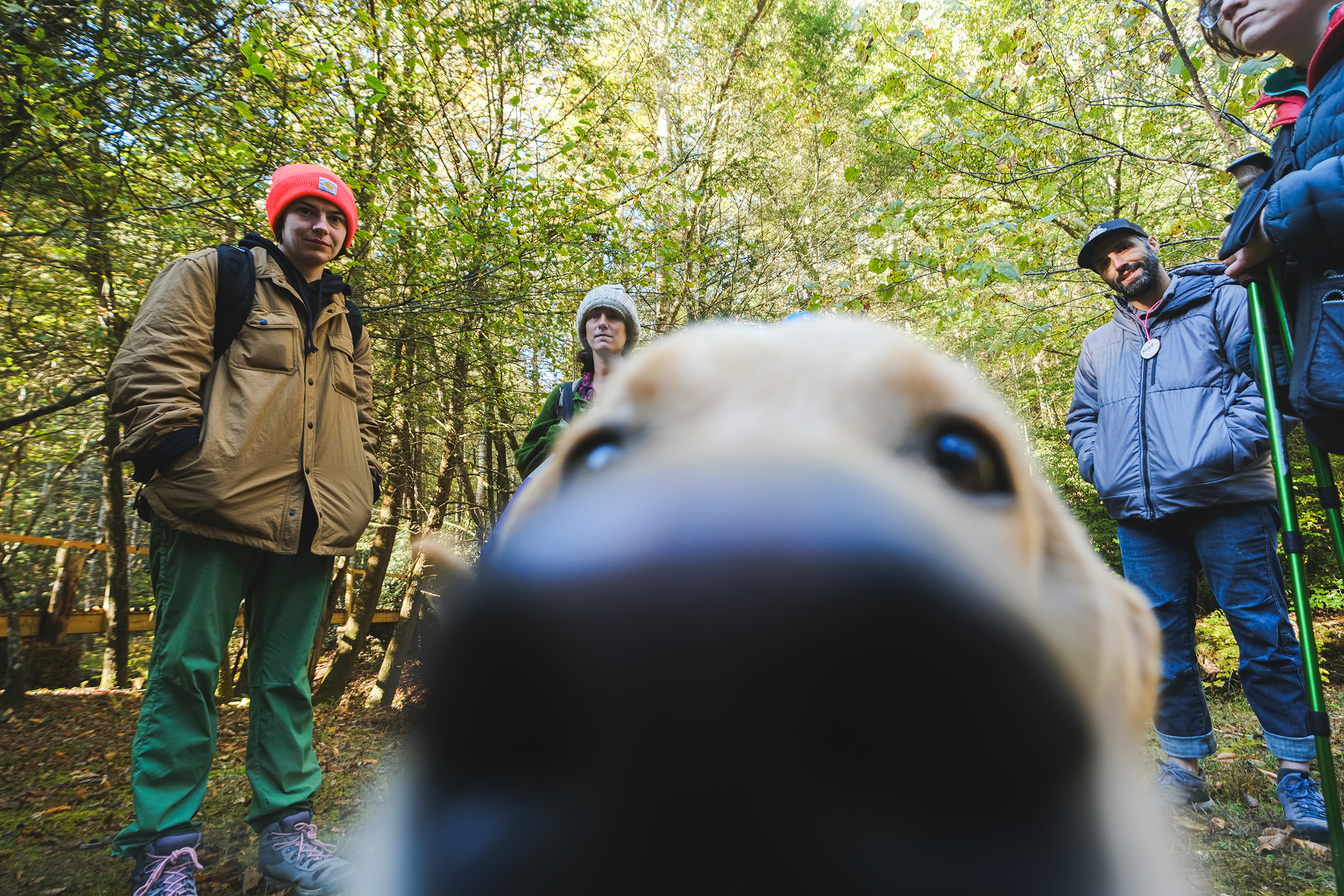 A service dog gets up close and personal with the camera, with its blurry nose in the foreground. Four people stand behind the dog with bright green trees in the background.