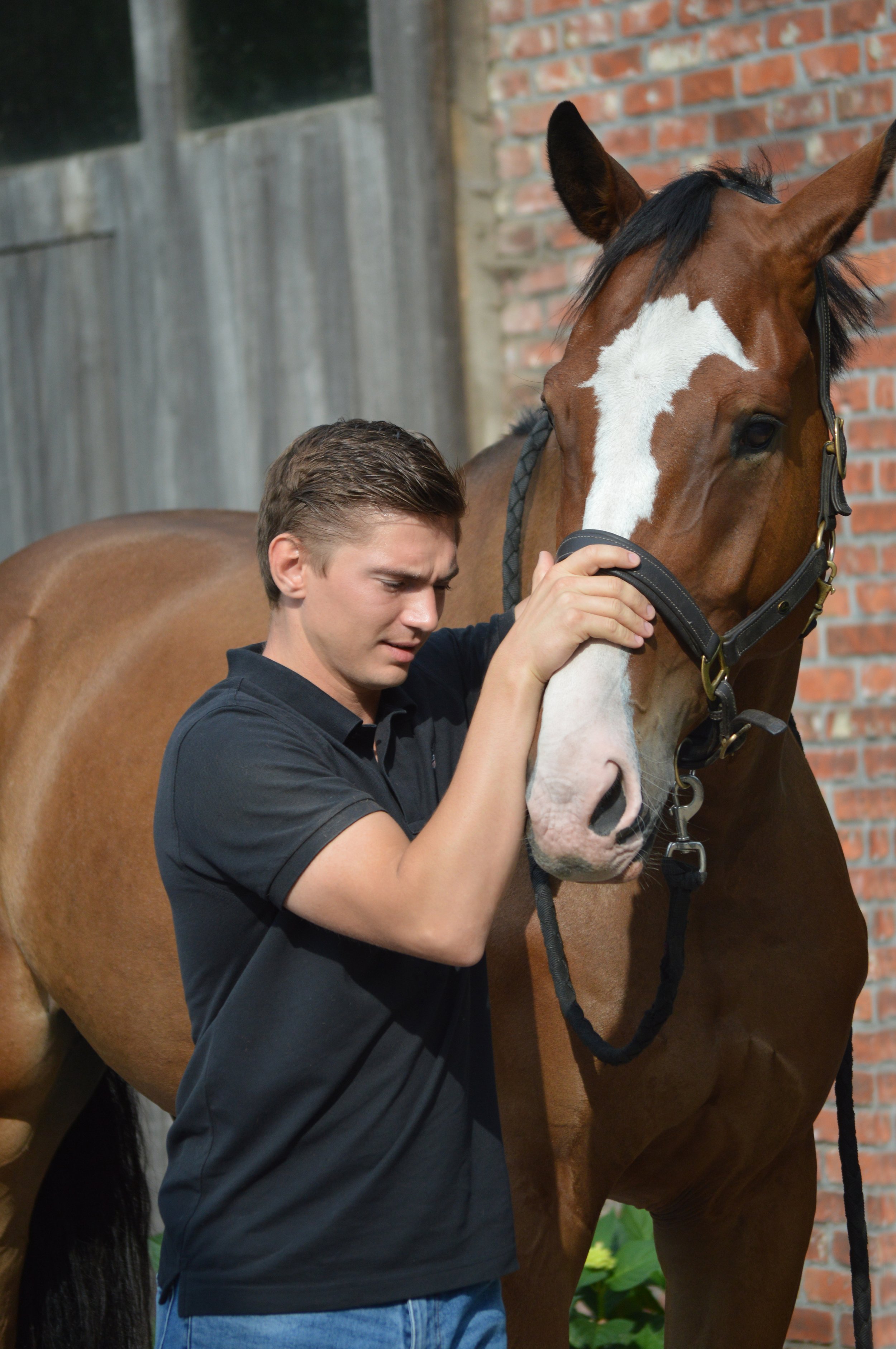 DSC_0333 bewerkt.jpeg