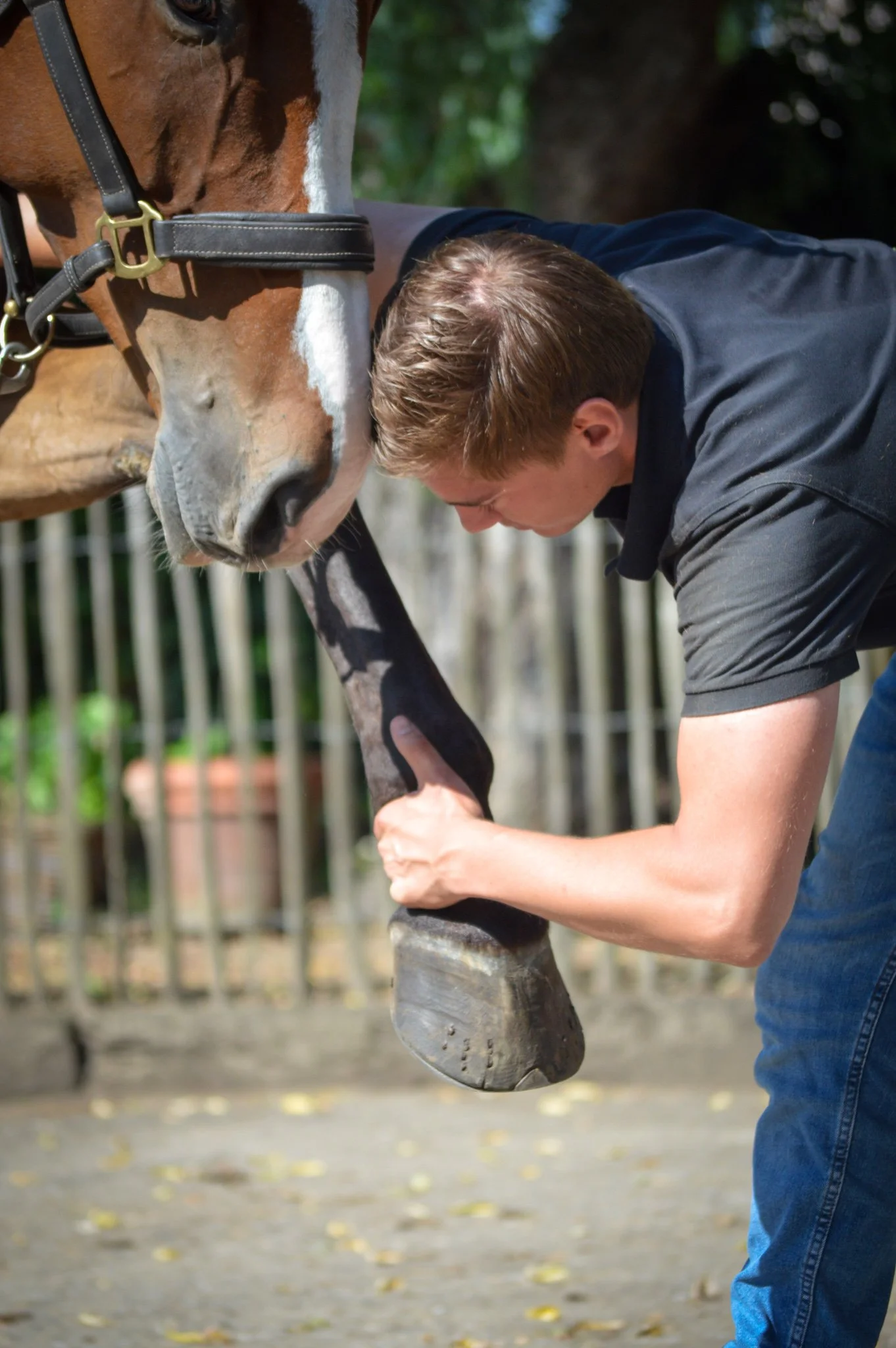 DSC_1003 (35) bewerkt-5.jpeg