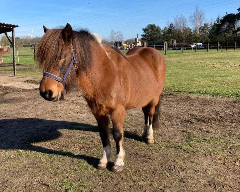 WhatsApp Image 2022-10-28 at 11.38.43.jpg