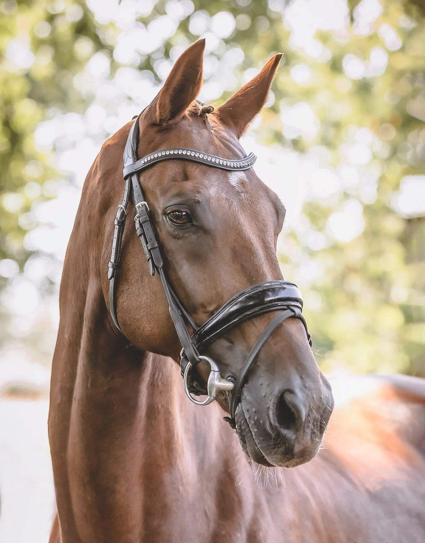 WhatsApp Image 2022-12-05 at 21.32.50.jpg