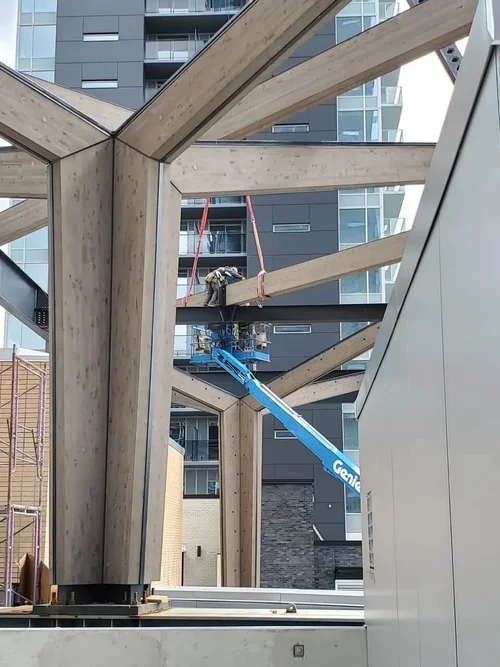 King George Ribbon Bridge installation