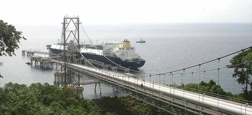 Equatorial Guinea LNG Bridge — aerial view of completed bridge and jetty