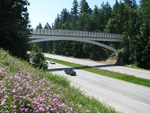 Pioneer Pedestrian Bridge arch erection