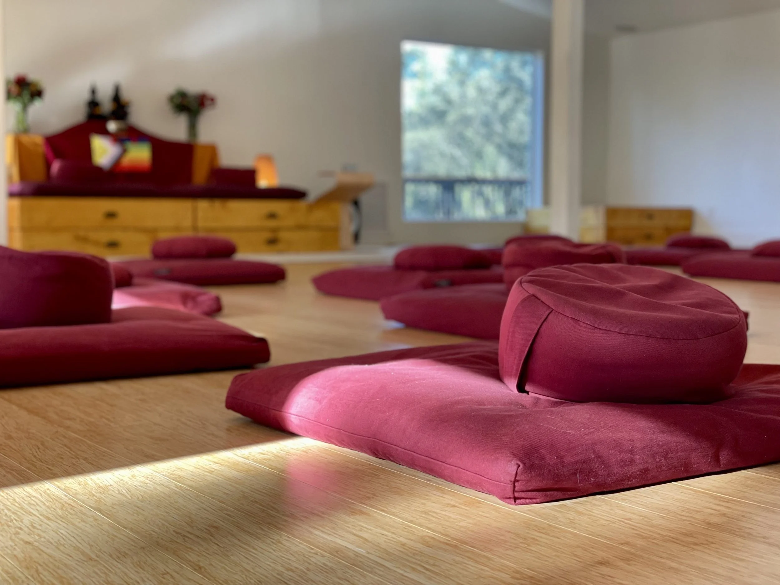 Resilience and Refuge: Mindful Yoga and Embodied Dharma