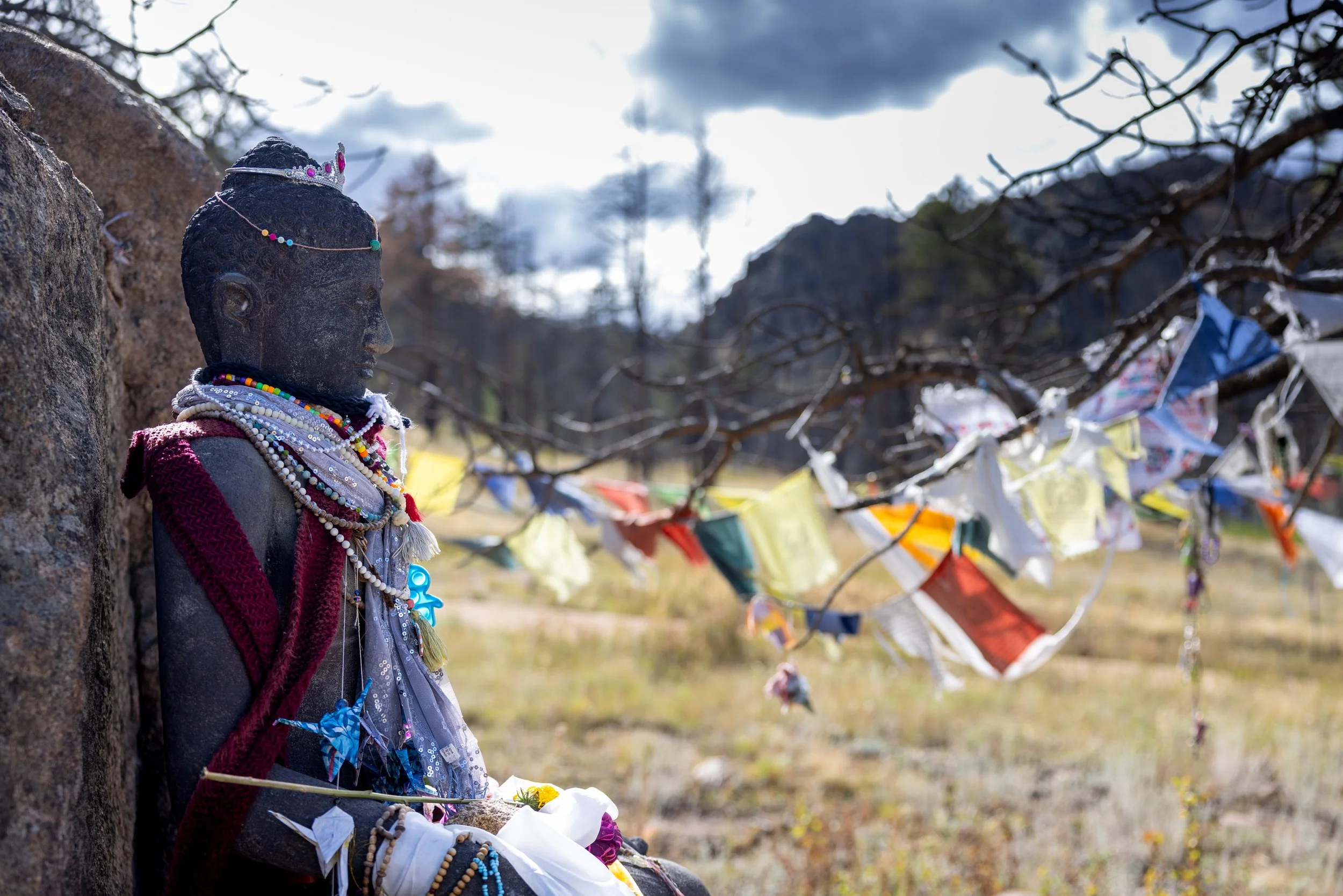 Wild Rest: An Embodied Devotional Retreat in Nature