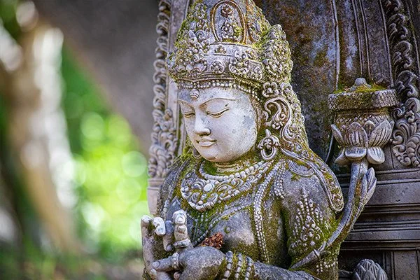 Embodied Freedom: Energy, Wisdom, and Somatic Awakening