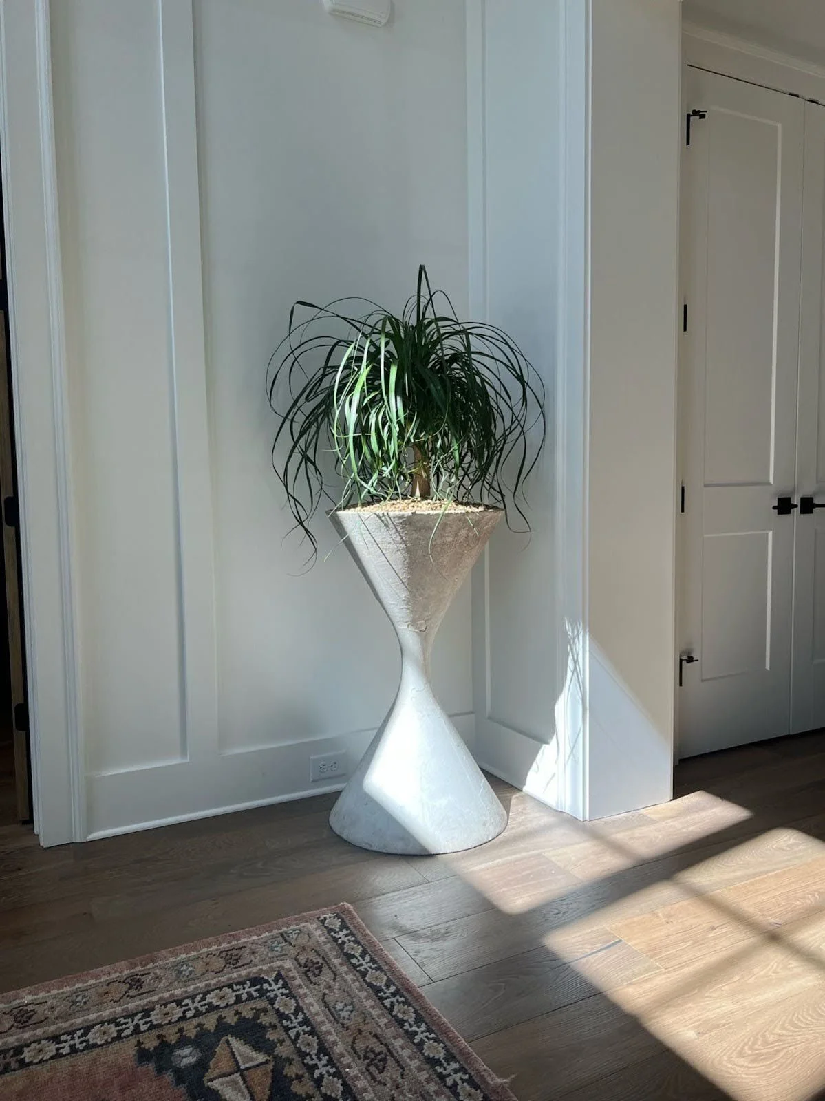 Indoor Plant Design Trends for 2025 — Plant Savvy