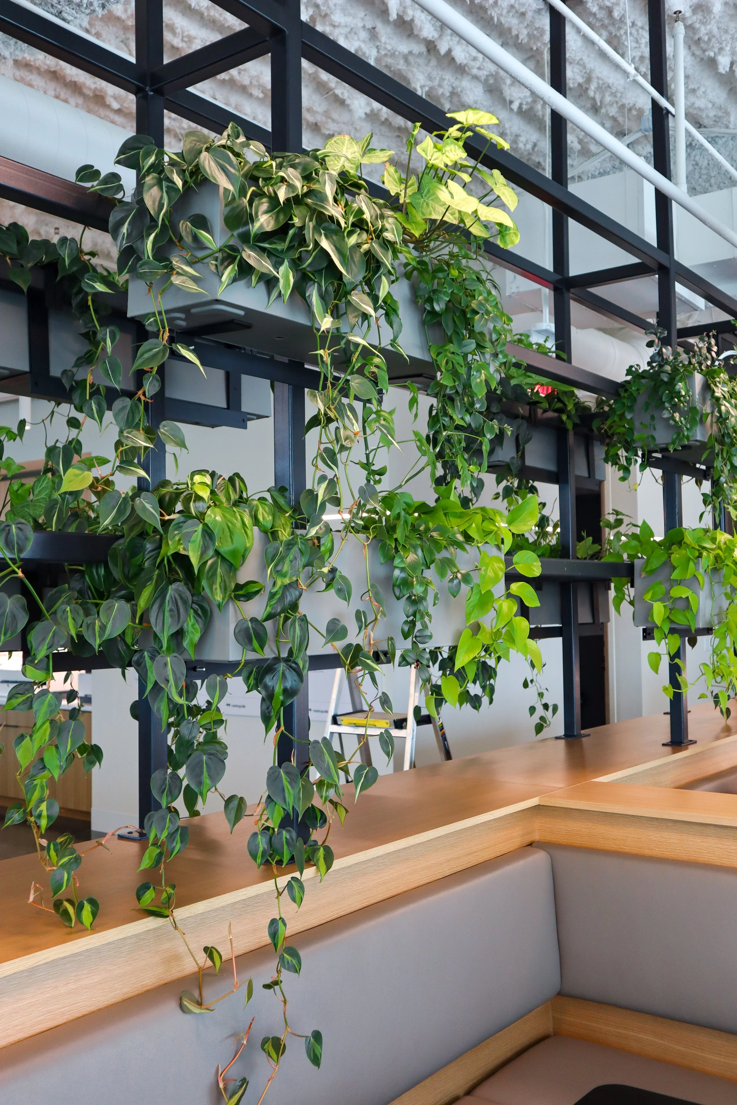 Interior Plant Design Portfolio — Plant Savvy