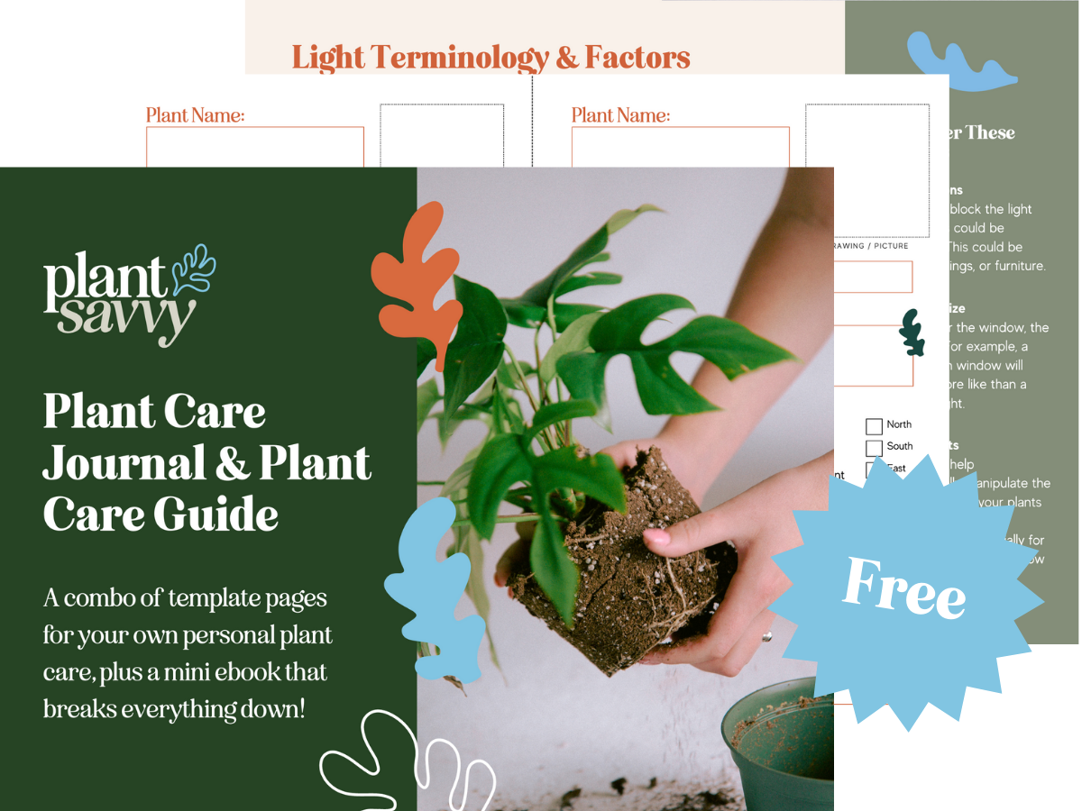 Plants, Free Full-Text