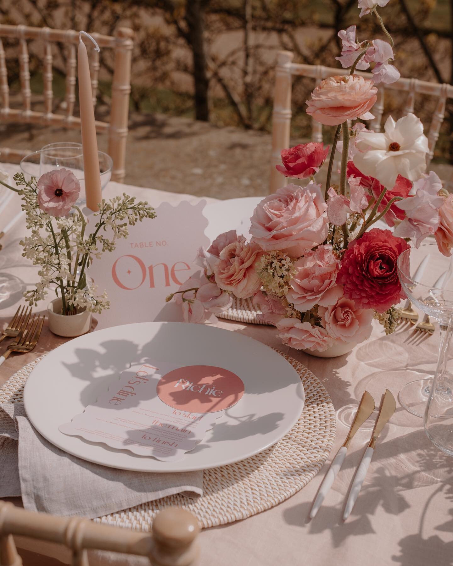 This weather has me dreaming of beautiful outdoor weddings, just like this pretty pink setup from a couple of weeks ago 🤍

Shot with a wonderful team 💕
Planner/Stylist: @boelleevents
Florals: @bybunchstudio
Photographer: @helenrosephoto
Venue: @osm