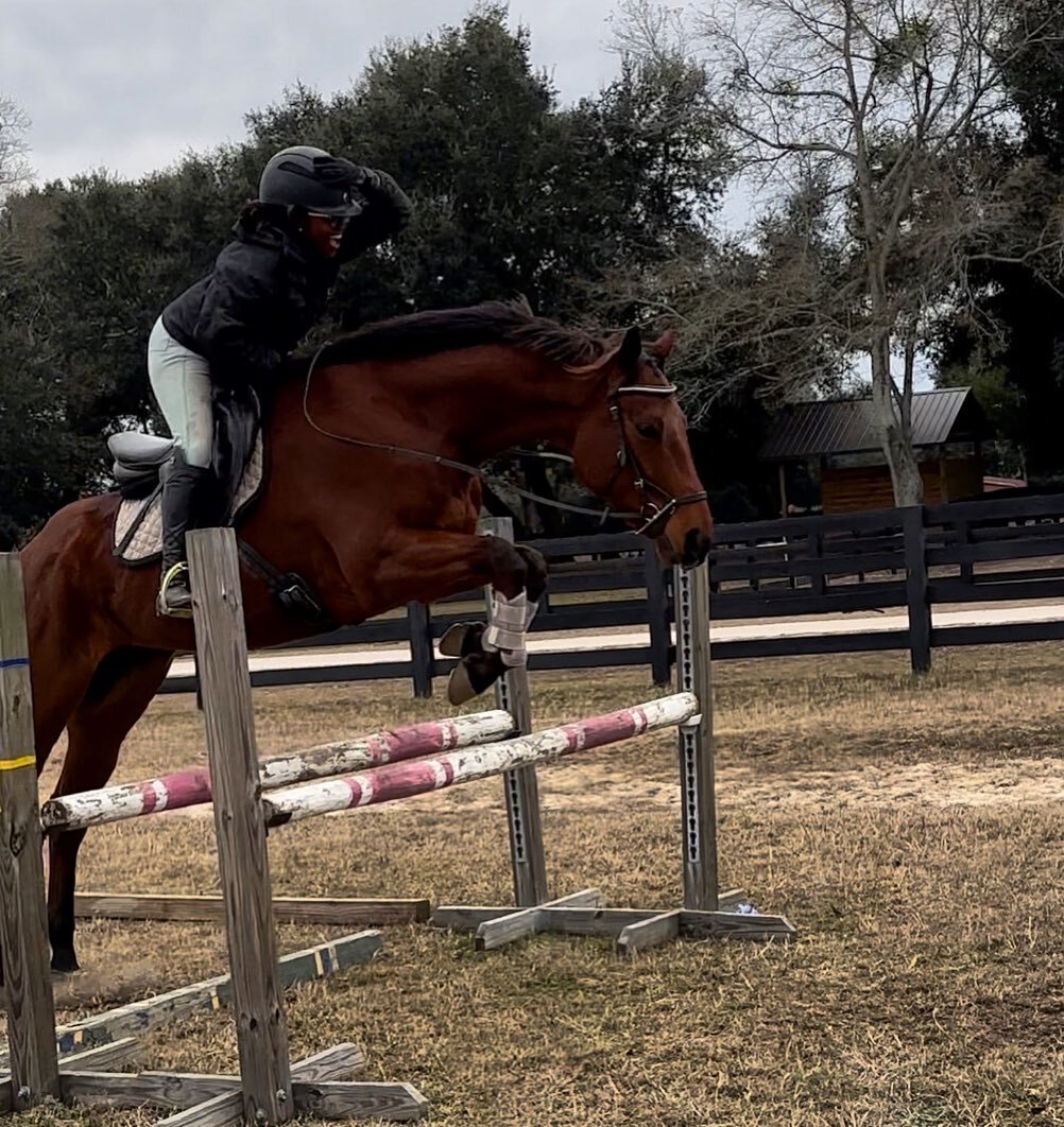 Congratulations to Janet Murphy on her purchase of Flint Corn!! We can&rsquo;t wait to see what the two of you do together! 
.
As always thank you to the whole @infinitysporthorse team!! Can&rsquo;t recommend them more highly! 
.
#OTTB #Sold