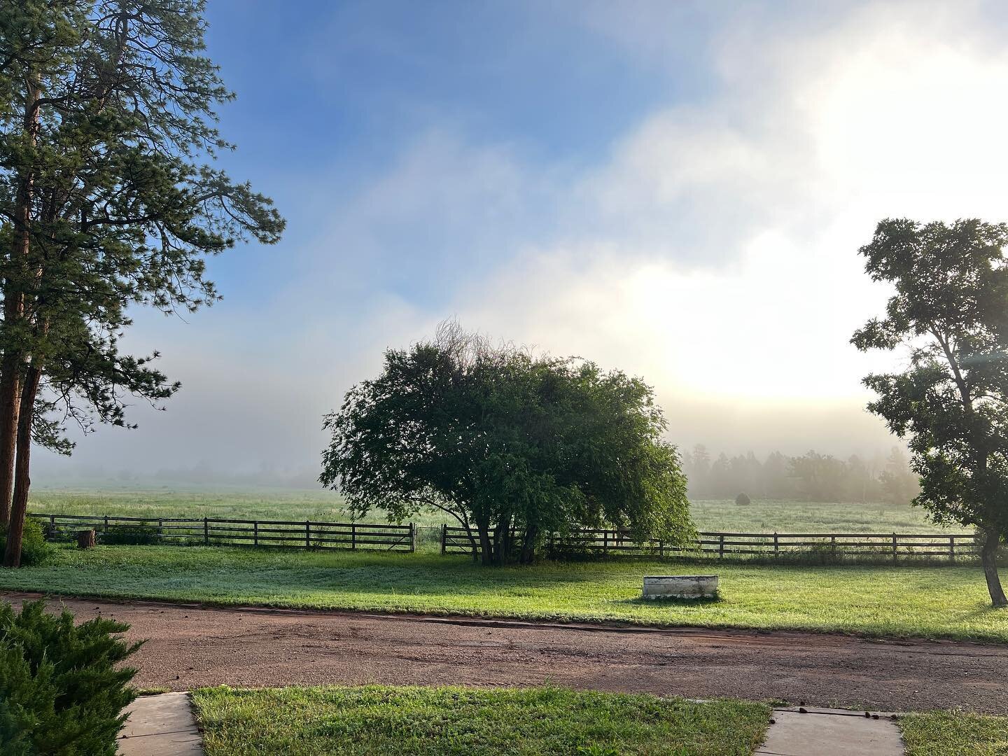 Peaceful morning as the fog burns off 
.
#HitchRackRanch #ColoradoRanch #Colorado #Clouds #Fog