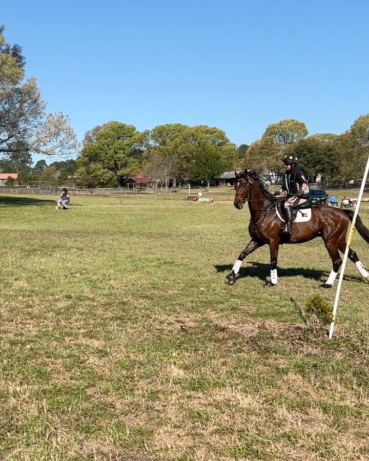 Huge thank you to Shannon Riley with Infinity Sport Horse for getting our own Swinging Sticks 🐊 qualified for @useventing Young Event Horse Nationals!! 
.
#SwampMonster #eventinghorses #HitchRackRanch #infinitysporthorse