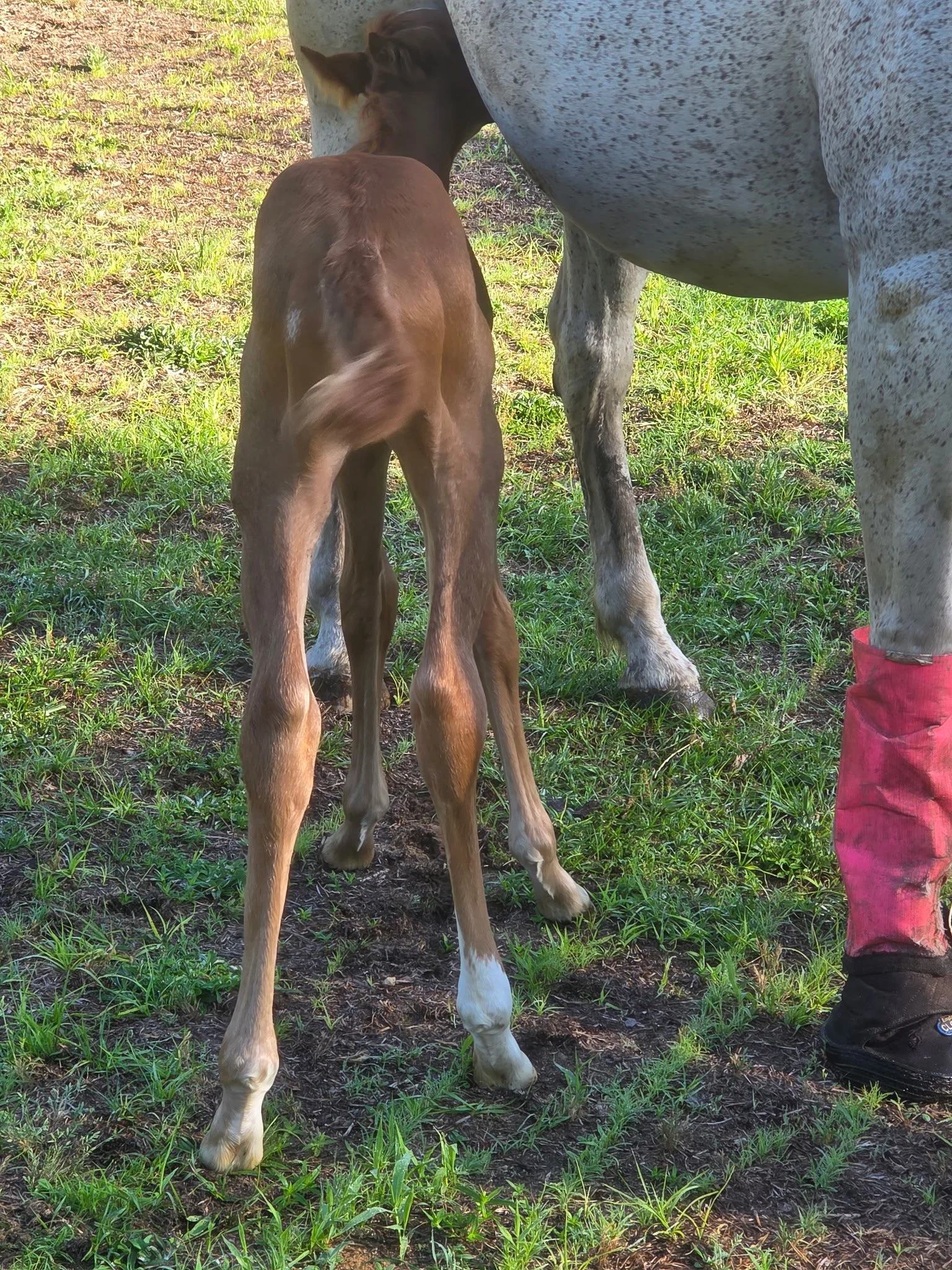1000048347.jpg
