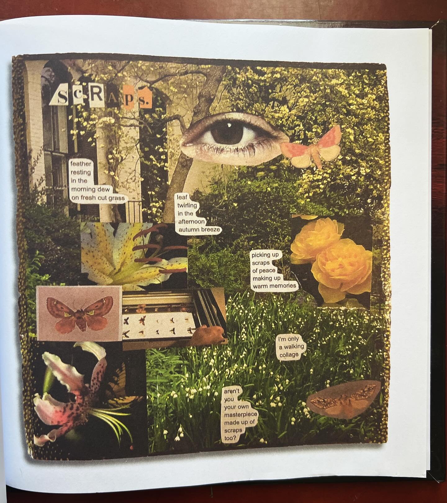 a page from Spill My Blood, You&rsquo;ll Only Get Words and Mud&hellip; reading up on my story currently :) and poem below 👇 

Scraps. 

feather
resting
in the
morning dew
on fresh cut grass 

leaf
twirling 
in the
afternoon 
autumn breeze

picking 