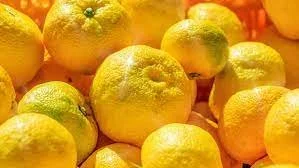 Yuzu Fruit