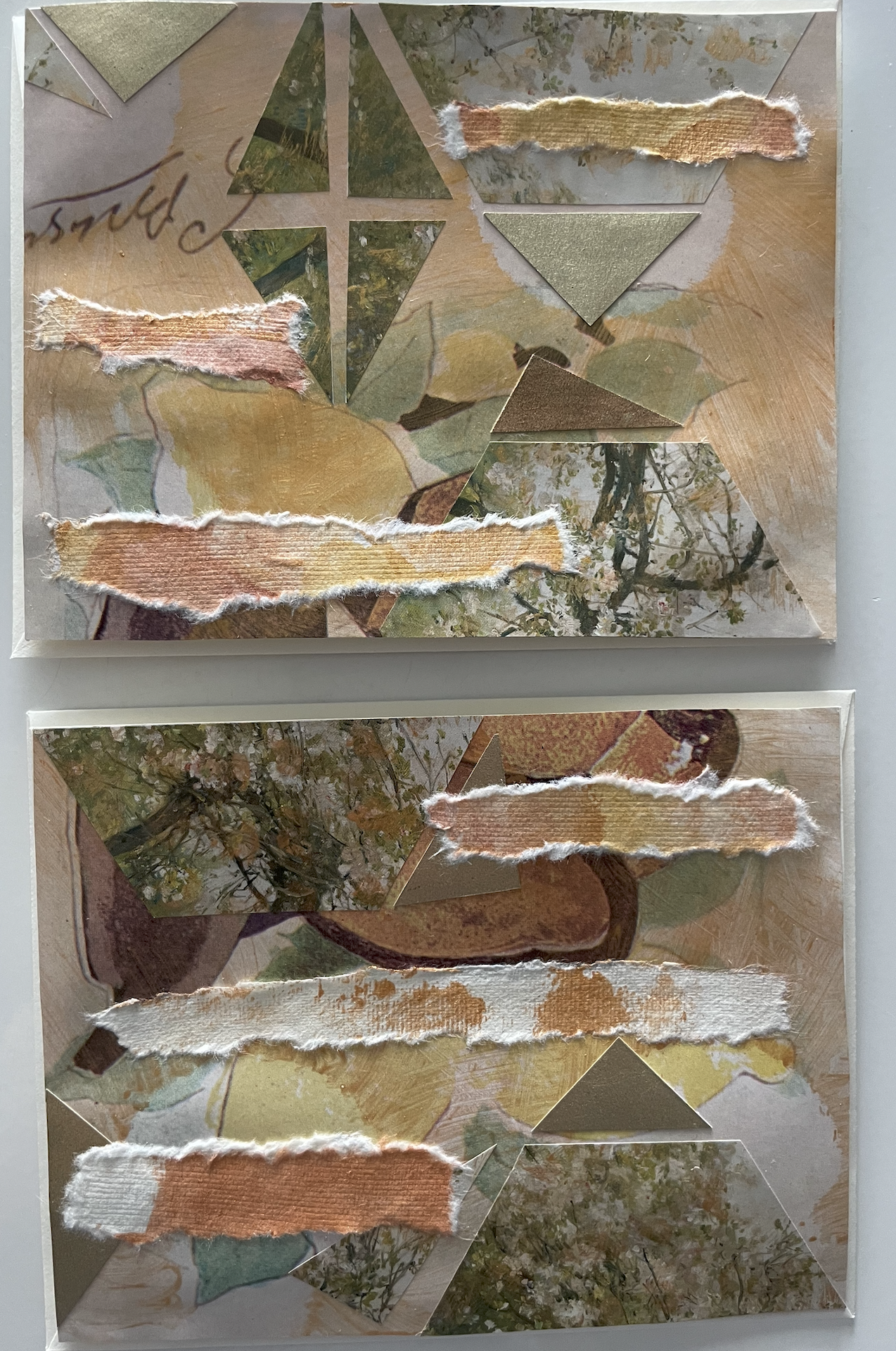 Still Life Greeting Card Set