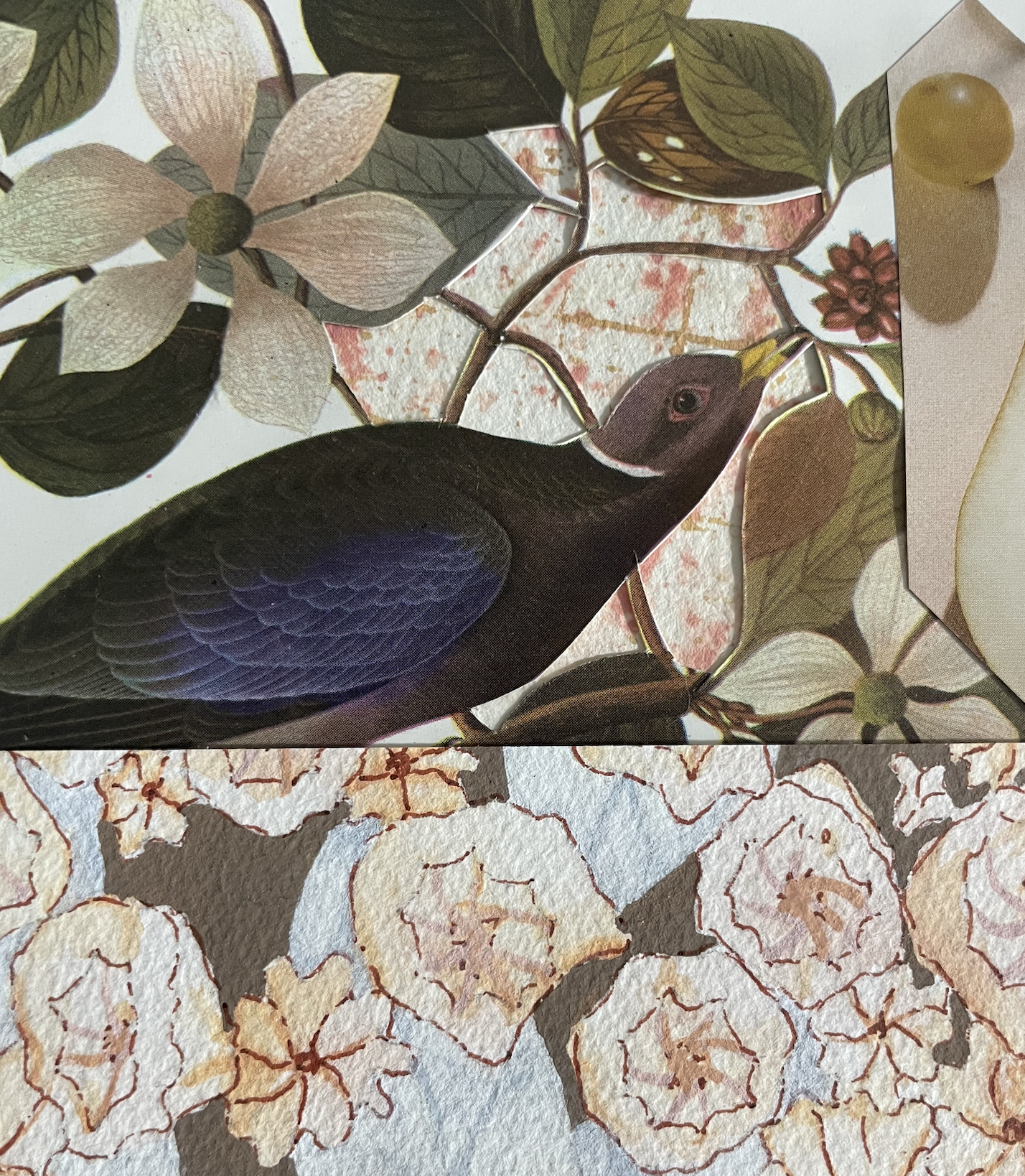 Collage Prep