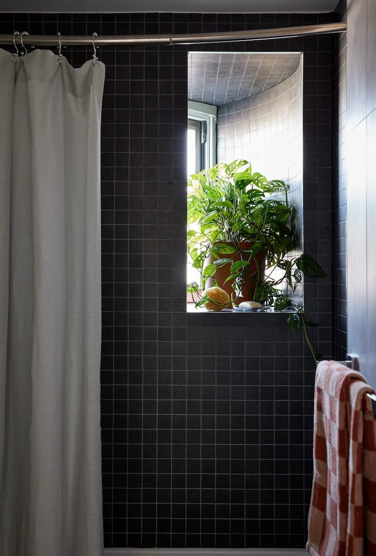 Shower niche with plant