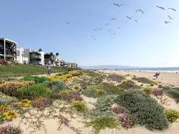 Spring Has Sprung! South Bay Walk and Brunch