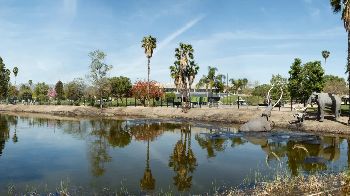 La Brea Tar Pits!