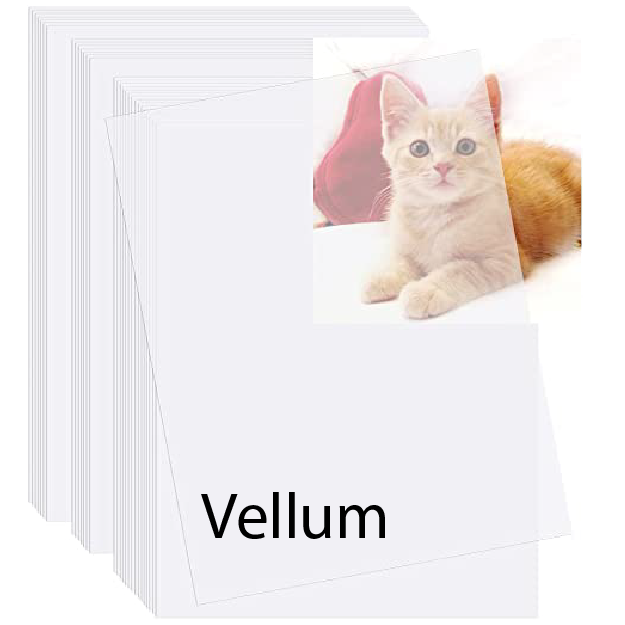 100 Sheets Vellum 