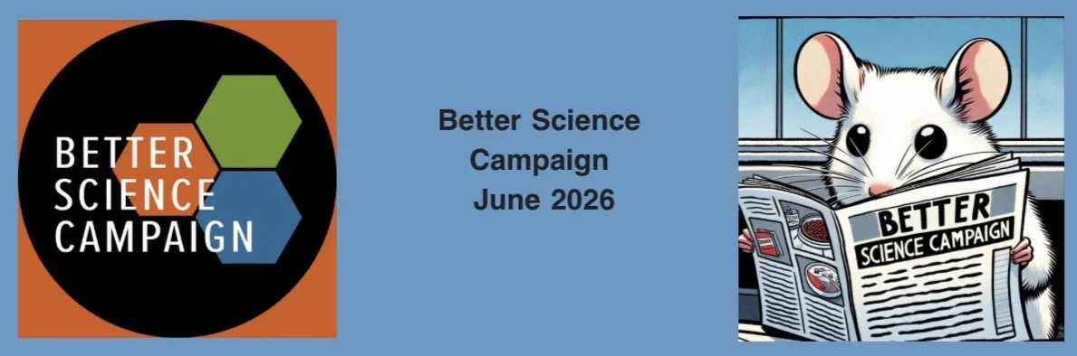 BSC June Newsletter Banner