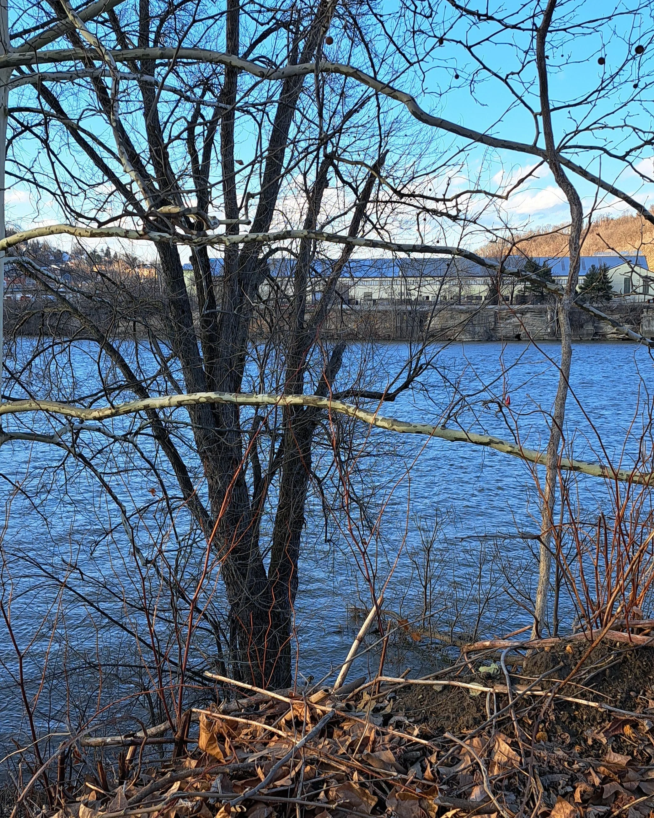 Imperfect Practices: Finding Calm among the Commotion