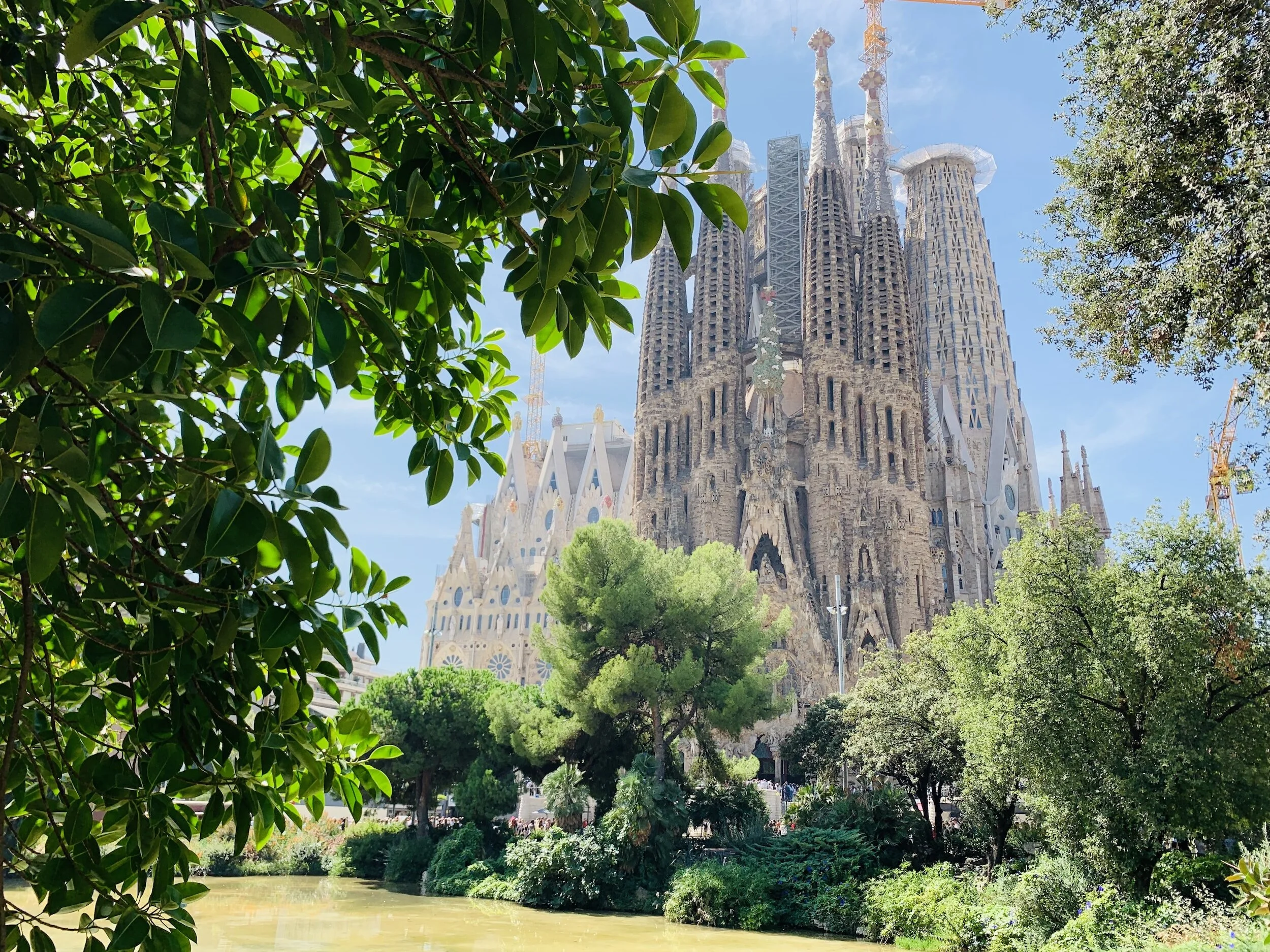 Sagrada Familia cathedral in Barcelona, surrounded by trees and a pond.