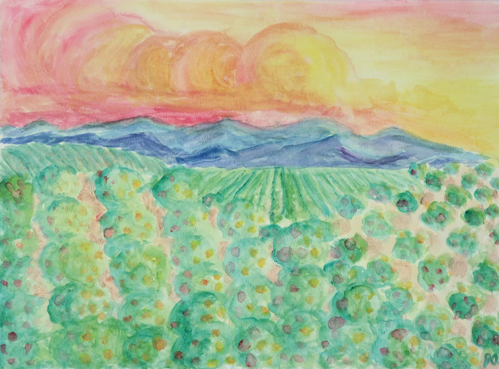 IMG_9081.png