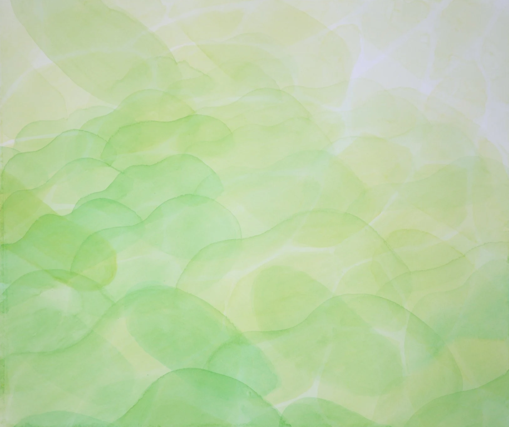 IMG_9077.png