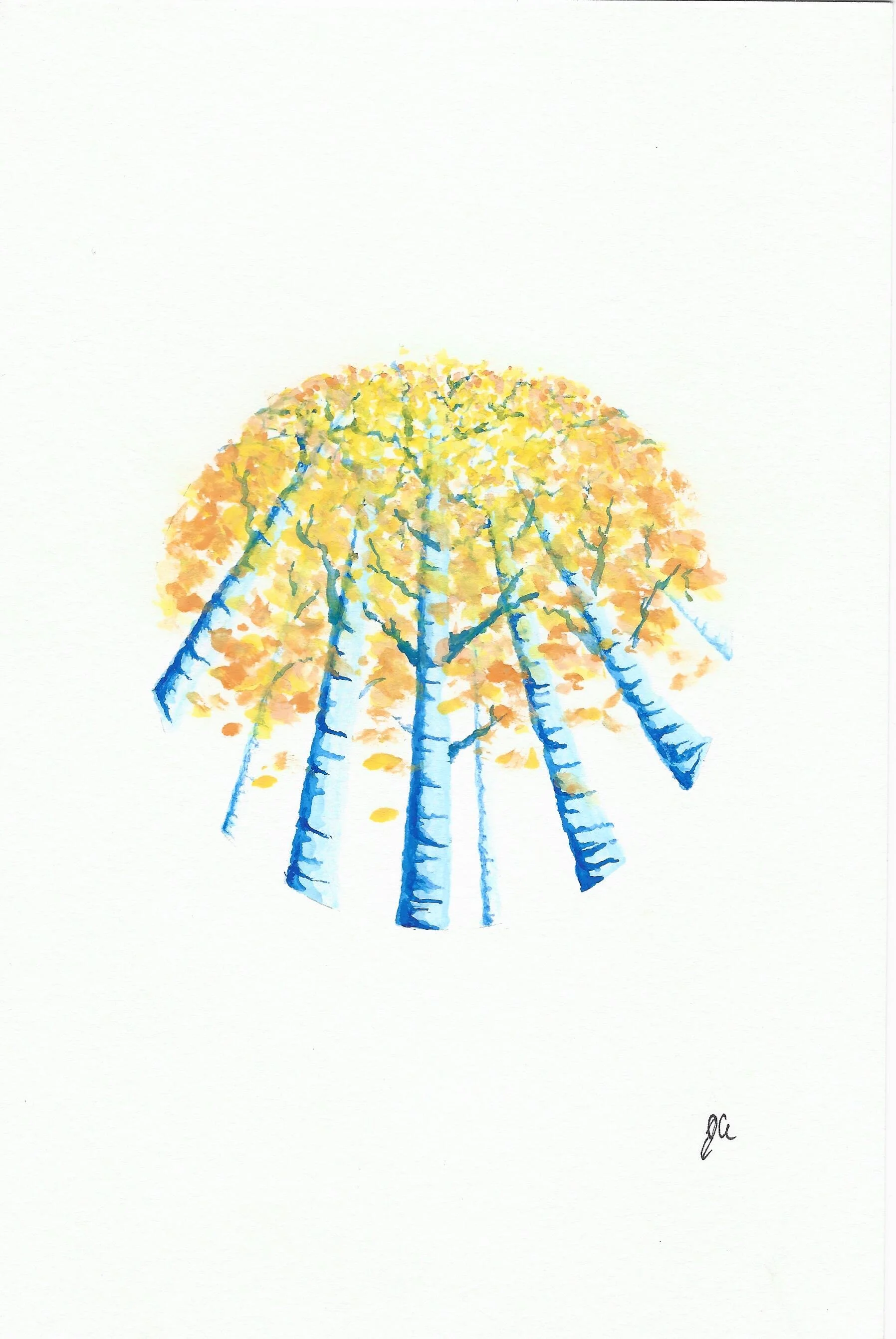 BirchTrees.jpeg