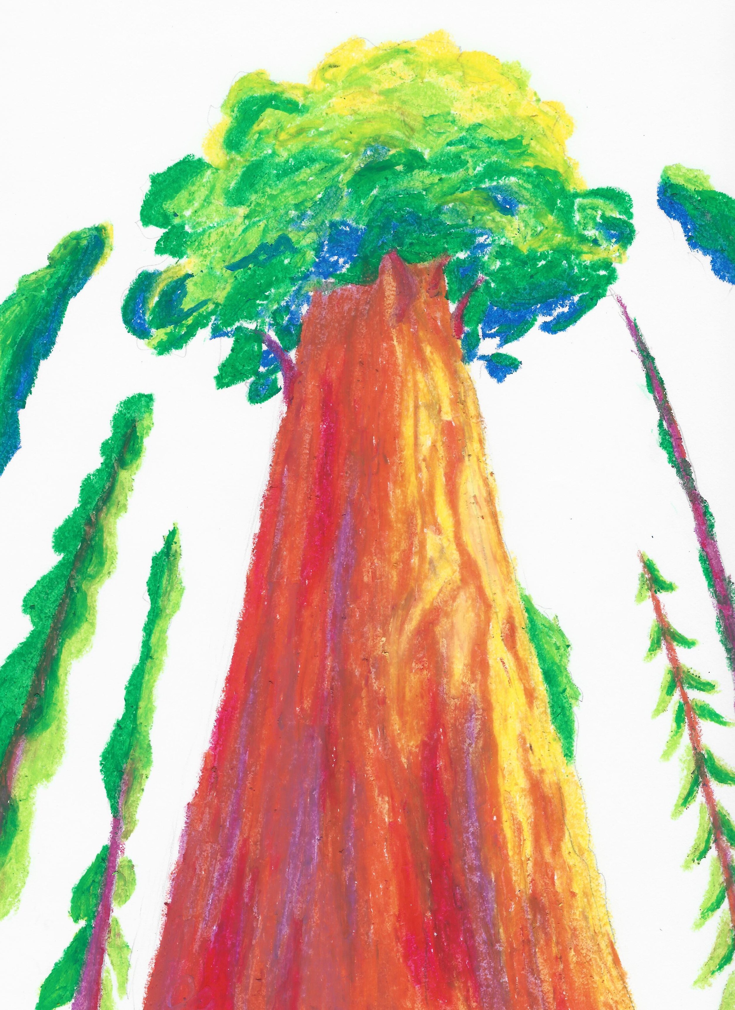 OilPastelRedwood.jpeg