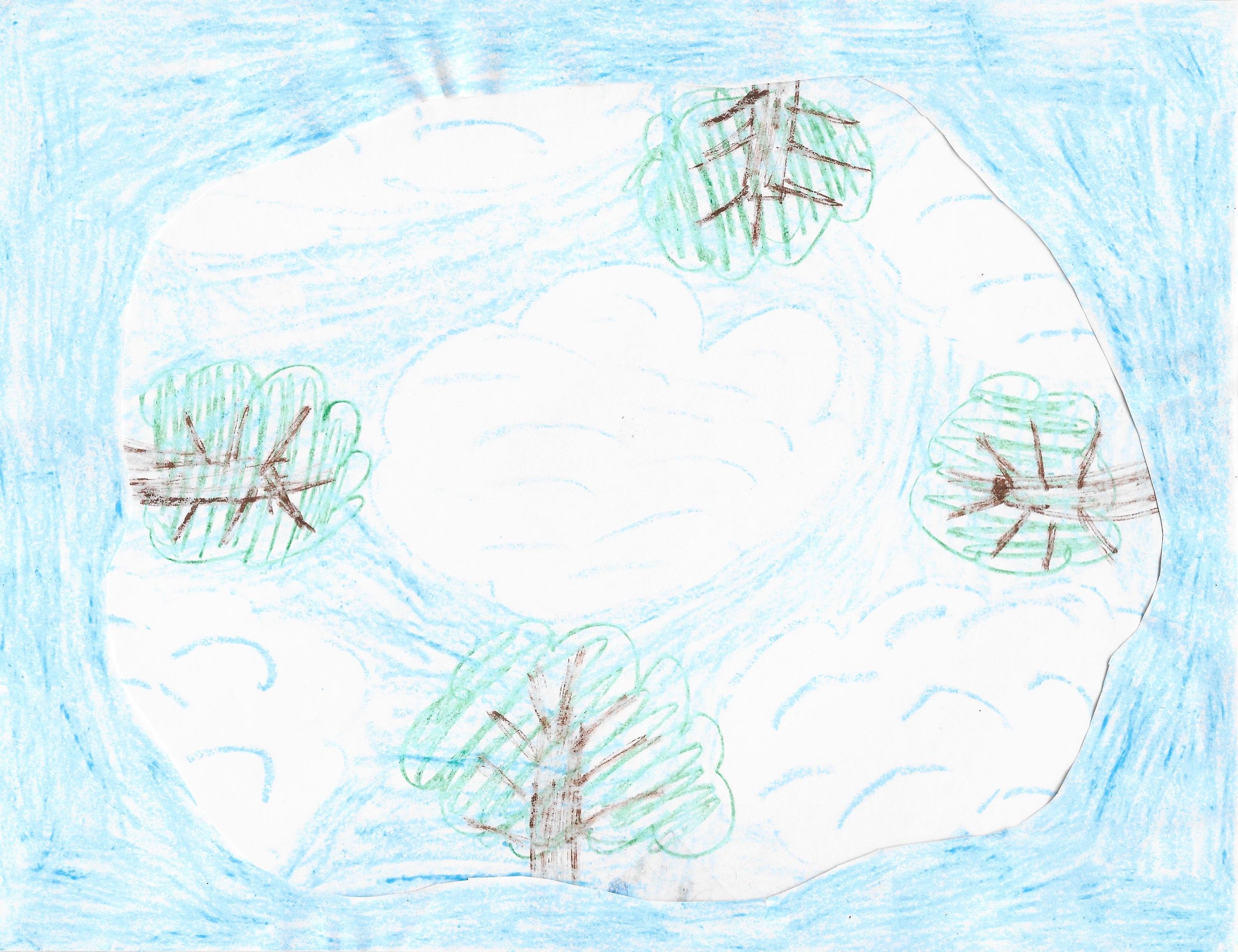CrazyForestSky.jpeg