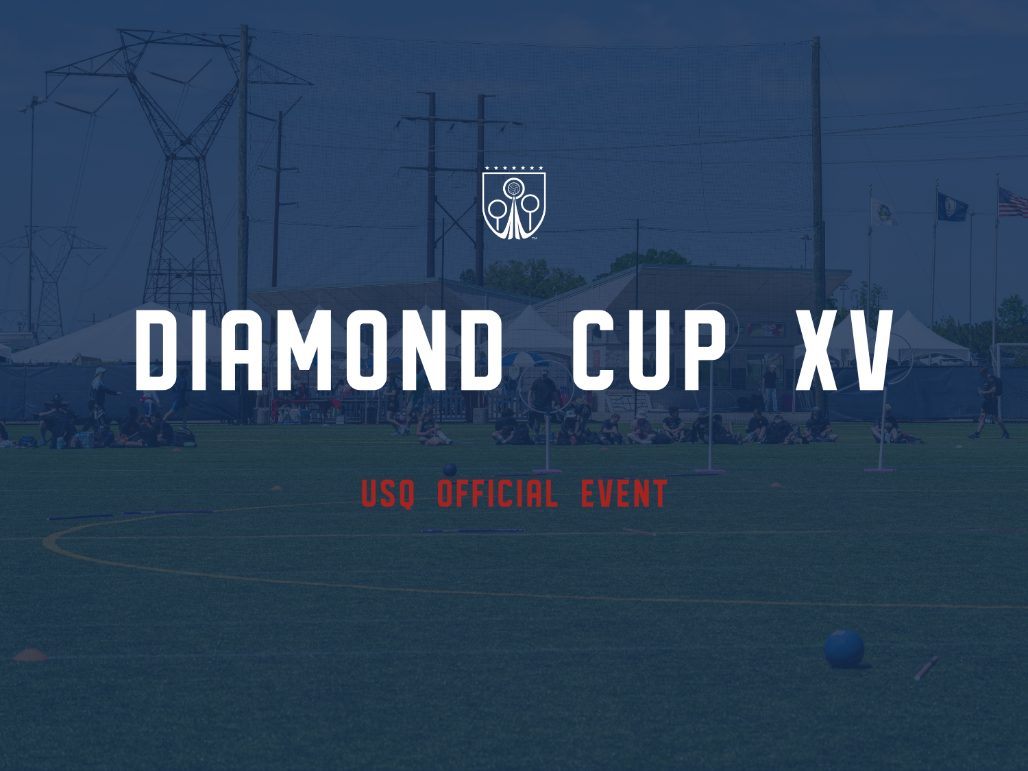 Diamond Cup XV