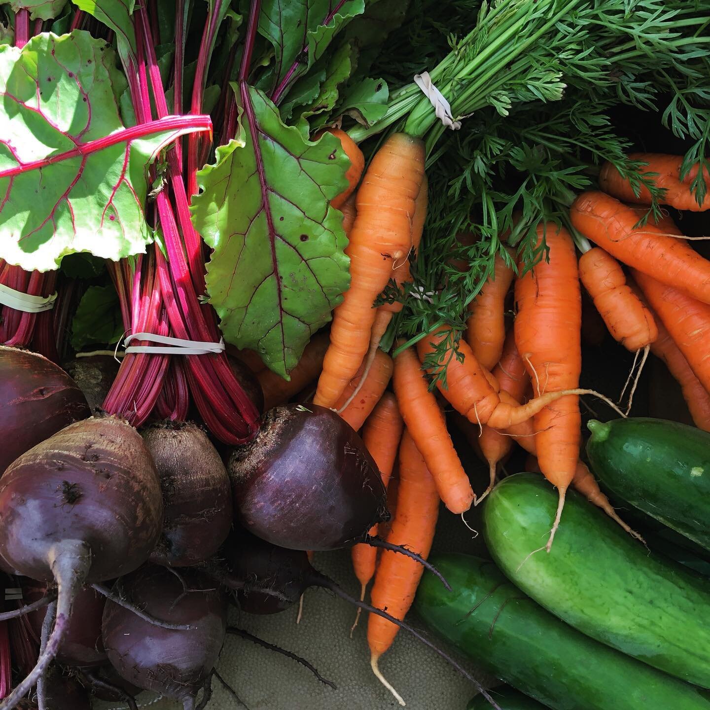 👌
.
.
.
.

#veggies #farmersmarket #regenerativeagriculture #produce #farmers #agriculture #sustainability #oregon #pnw #mthood #hoodlandfarmersmarket