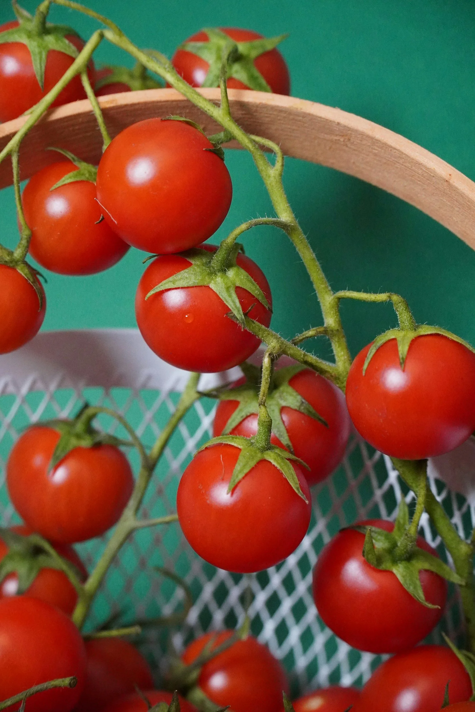 A close-up view of a cluster of ripe red cherry tomatoes hanging from green stems, with a wooden basket and a green background.