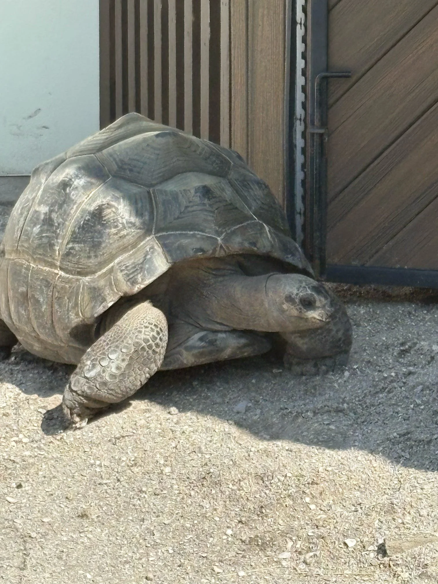St. Regis Longboat Key 13.jpeg