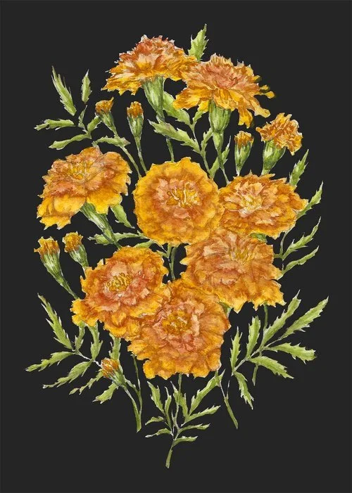 marigold+scan+1500.jpg