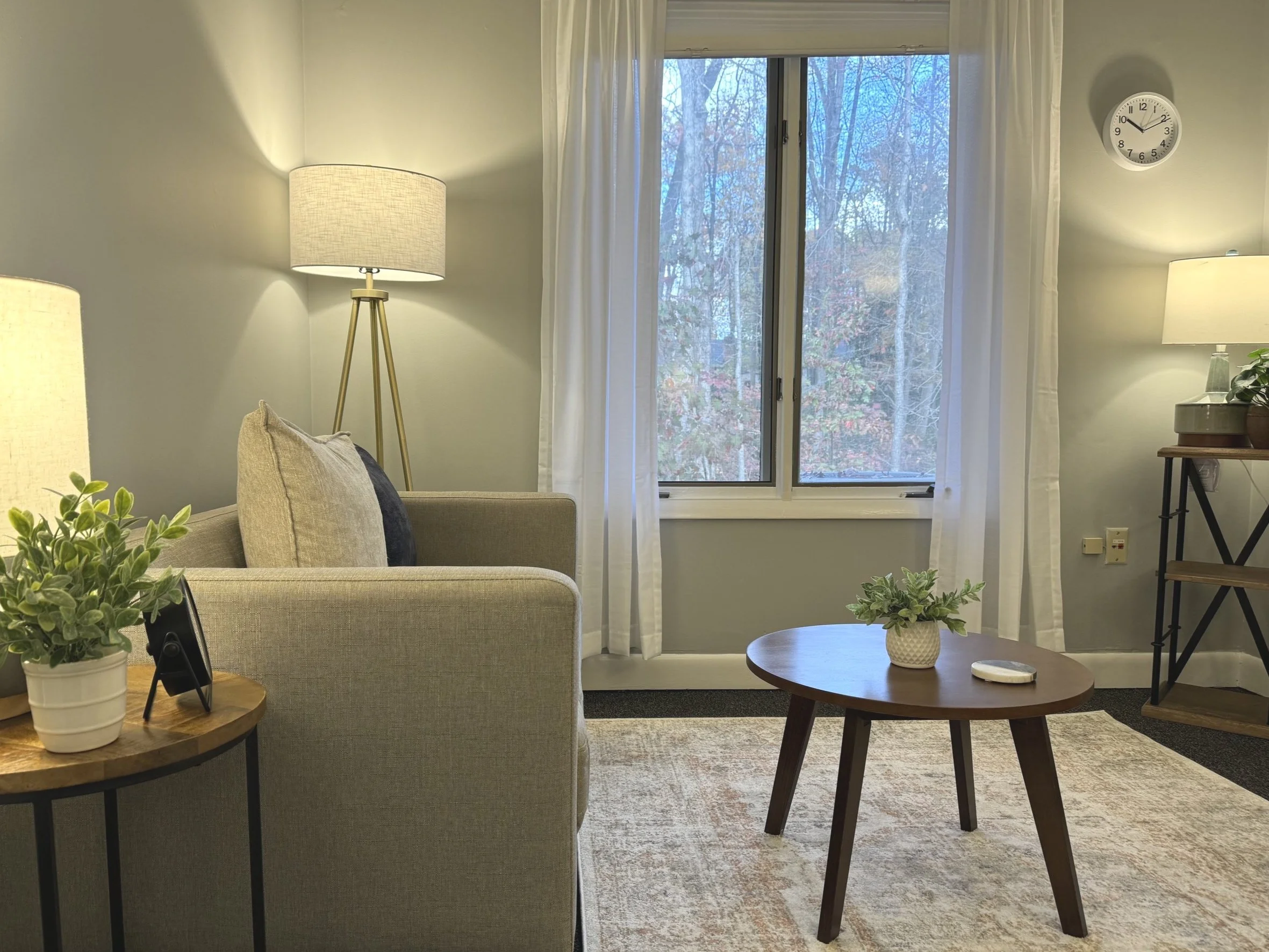 Cozy living room interior with a beige armchair, round wooden coffee table, and decorative plants. A floor lamp and table lamp provide warm lighting. A window with white curtains offers a view of trees outside. A small clock is mounted on the wall.