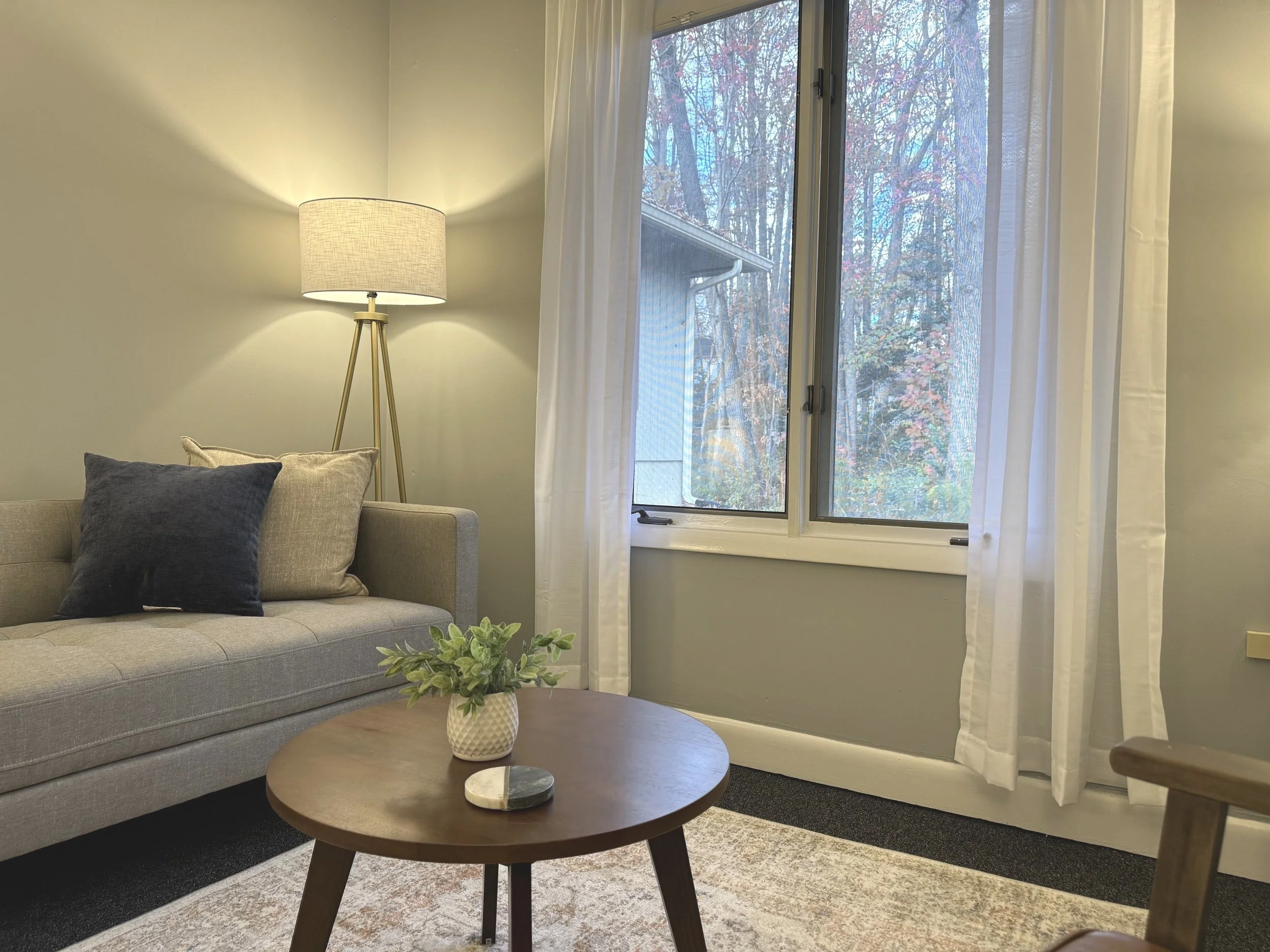Cozy living room with a gray sofa, two pillows, a tripod floor lamp, a wooden coffee table with a small plant, sheer curtains, and a window view of trees.