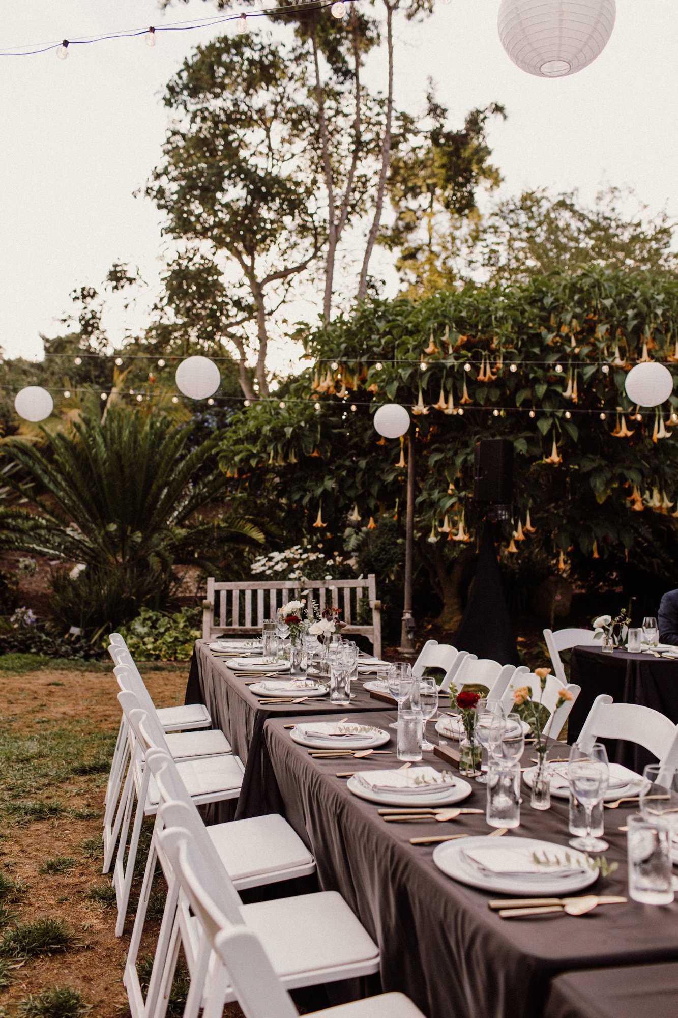 San Diego Botanic Garden Wedding - Jessica Millete Photography- (78 of 116).jpg
