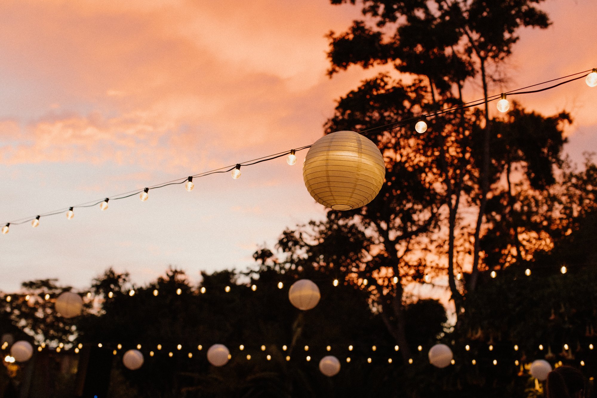 San Diego Botanic Garden Wedding - Jessica Millete Photography- (106 of 116).jpg