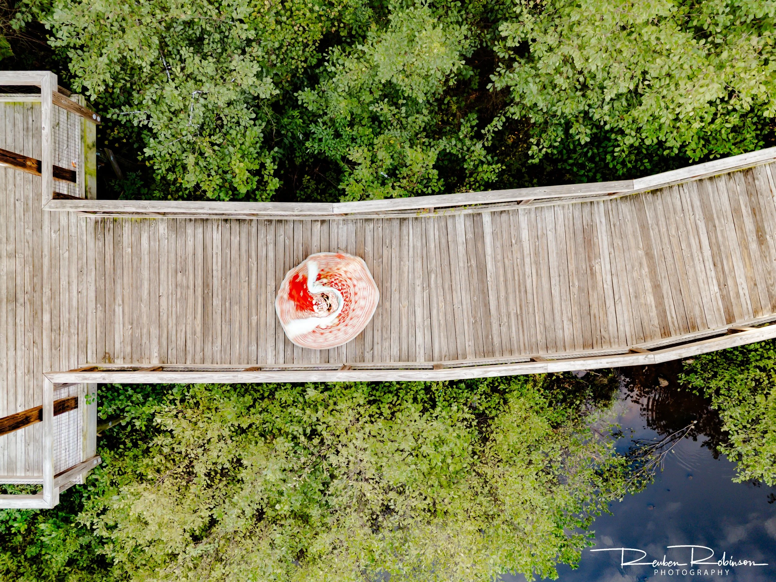 View from a wooden deck overlooking a green area with trees and a small body of water. A koi fish is visible in the water near the bottom of the image.
