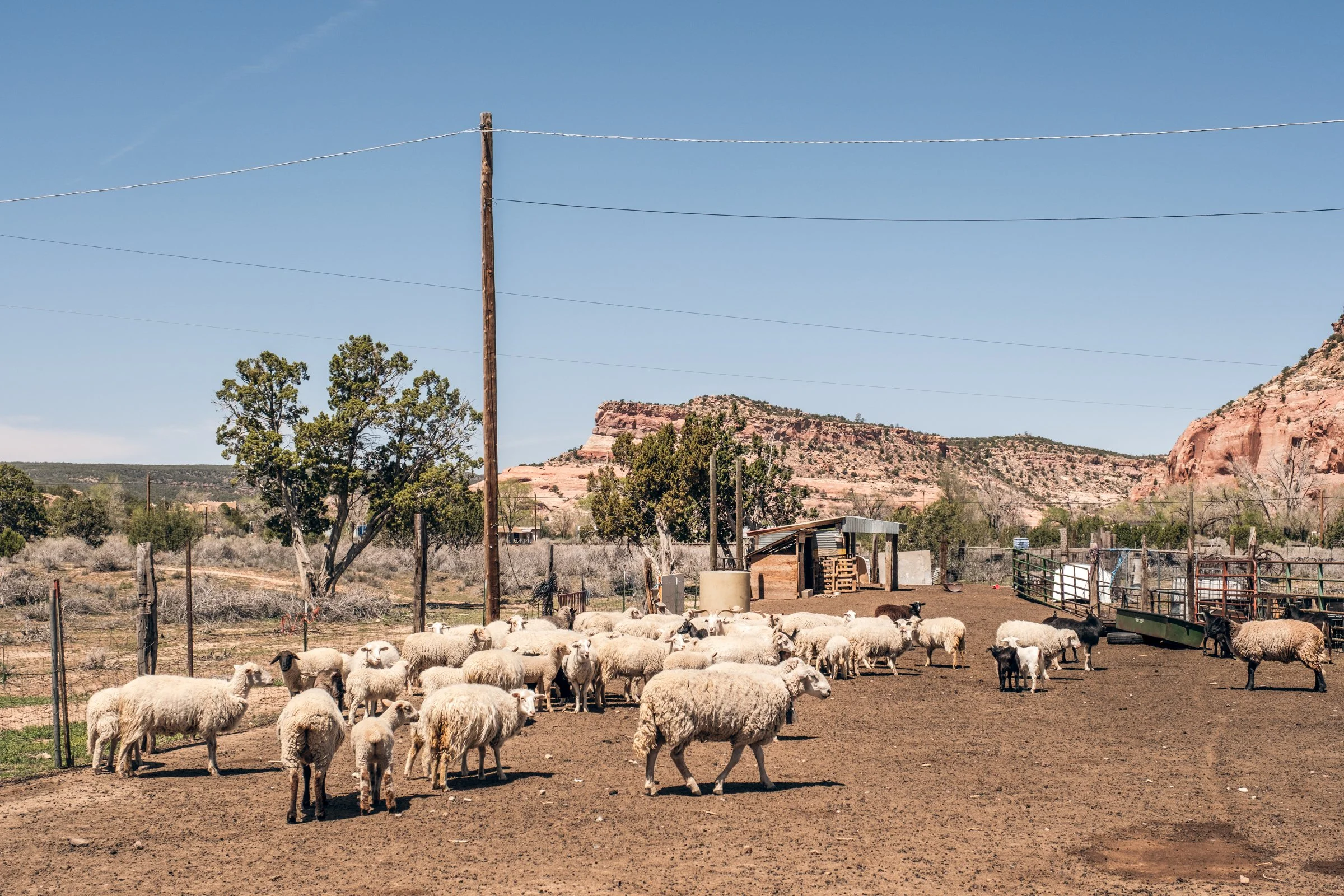 Hauling Life | Navajo Nation — Unified Metadata Paragraphs

Wayne Wilson and Joann Whiting collect water in Gallup, New Mexico at a community water source. The containers are filled, prepared, and loaded into their vehicle for transport across the Na