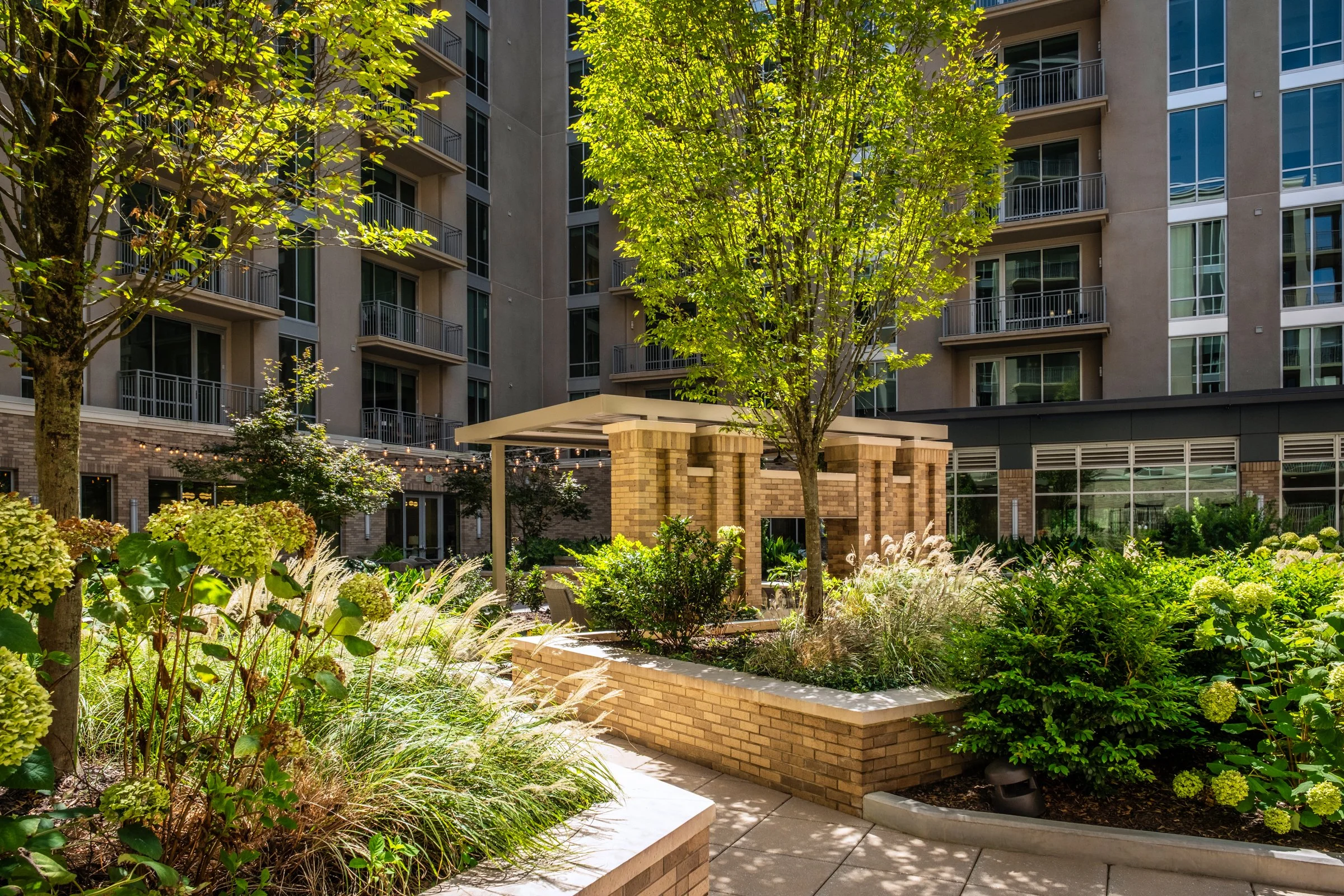Village on Morehead a 55+ luxury senior living community showcasing the amenity courtyard, landscape design, by LandDesign in Charlotte, NC. Created by Lange Photo Studio.