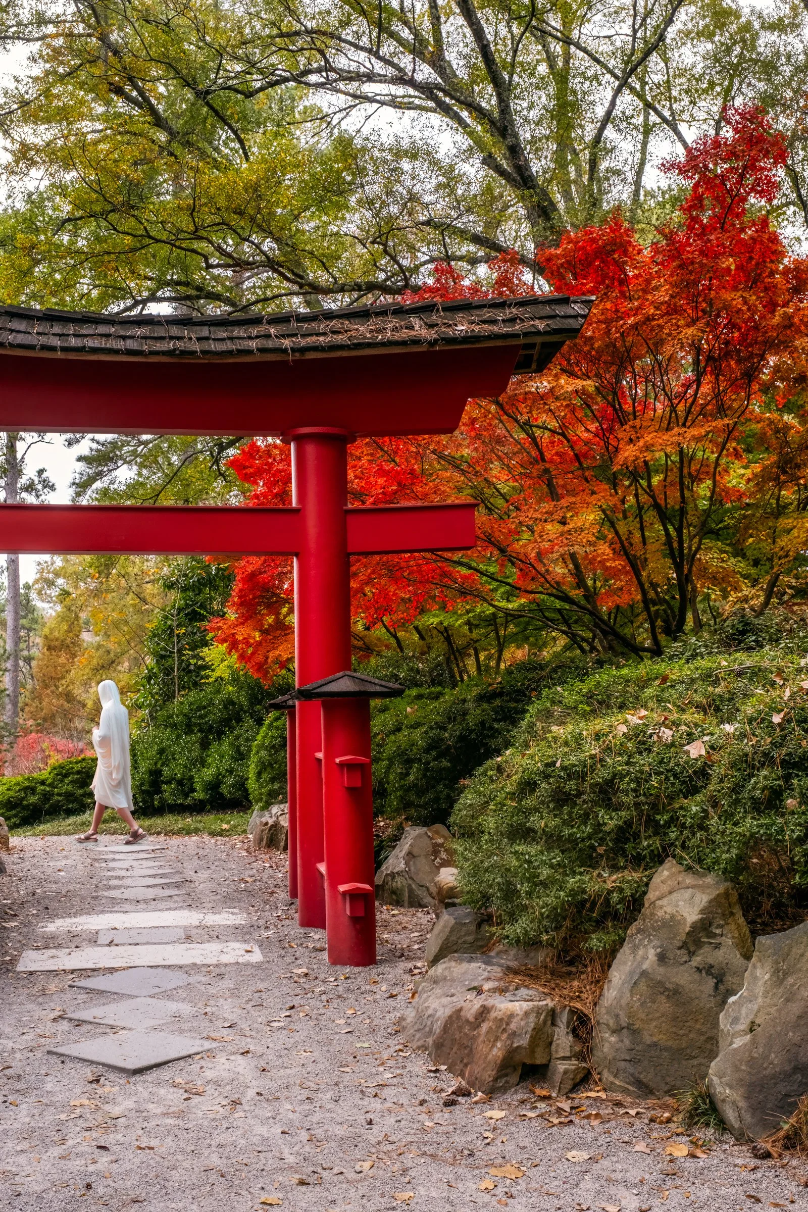 Birmingham Botanical Gardens – travel photography by Lange Photo Studio capturing the gardens