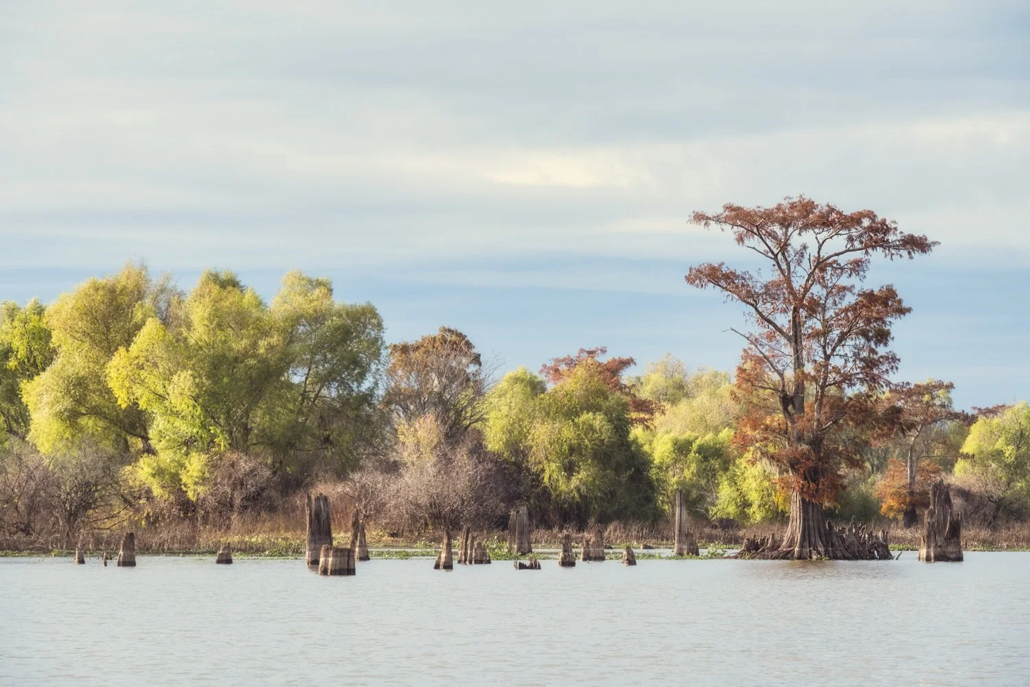 Atchafalaya Basin, louisiana- photos by Lange Photo Studio