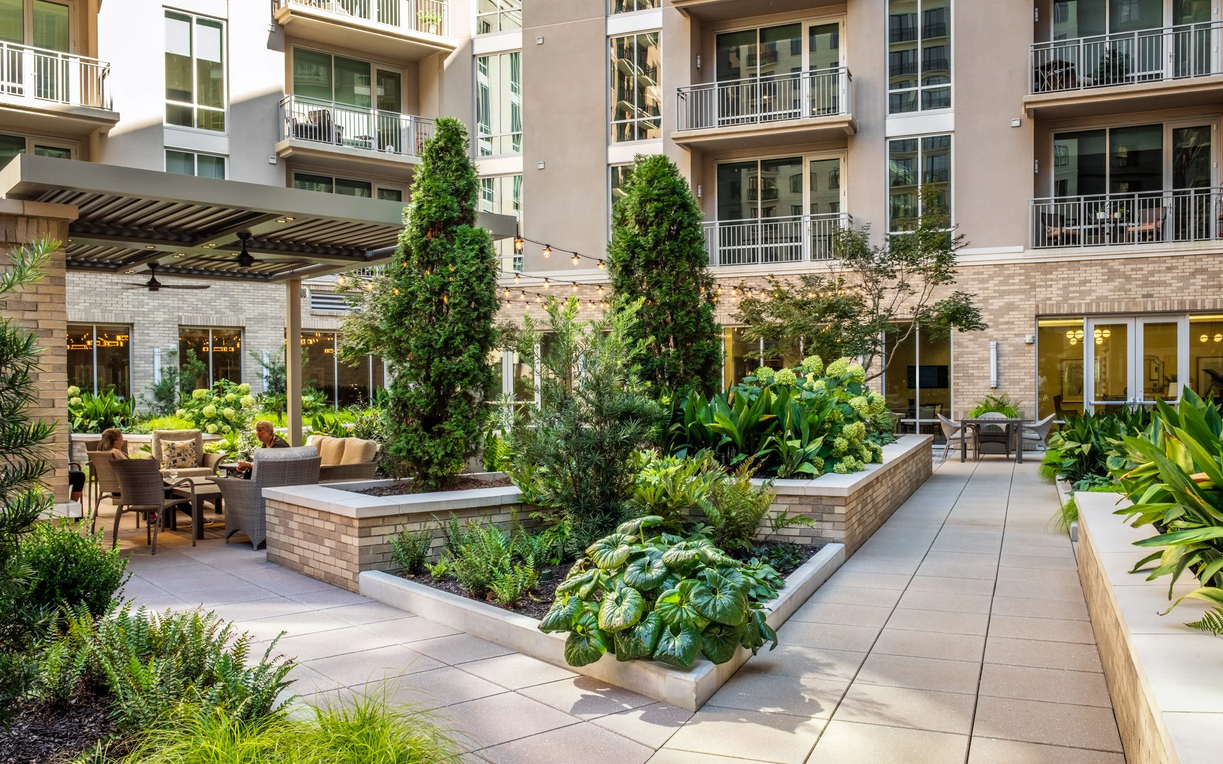 Village on Morehead a 55+ luxury senior living community showcasing the amenity courtyard, landscape design, by LandDesign in Charlotte, NC. Created by Lange Photo Studio.